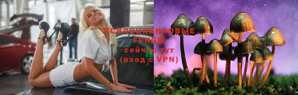 МДПВ Алзамай