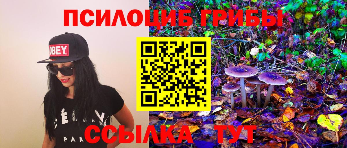 Псилоцибиновые грибы MAGIC MUSHROOMS Лобня