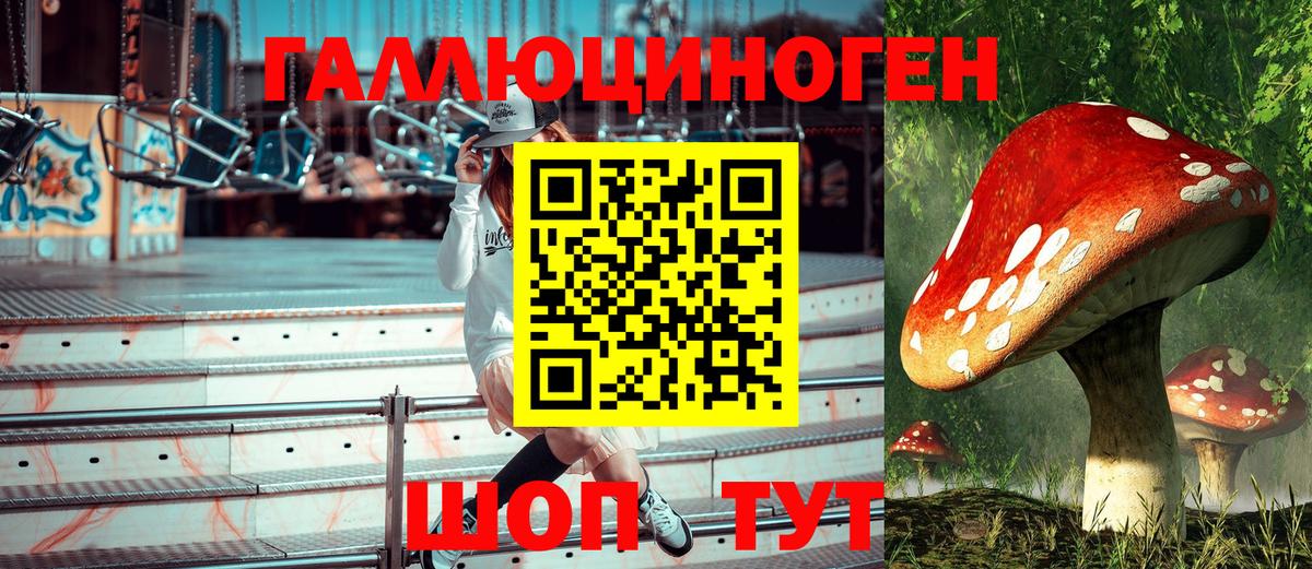 Псилоцибиновые грибы Psilocybine cubensis  Вход с VPN  Лобня 