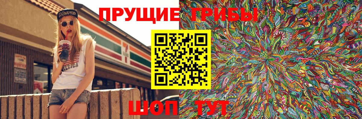 Псилоцибиновые грибы мицелий  Лобня 